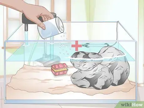 Imagen titulada Clean a Turtle Tank Step 15