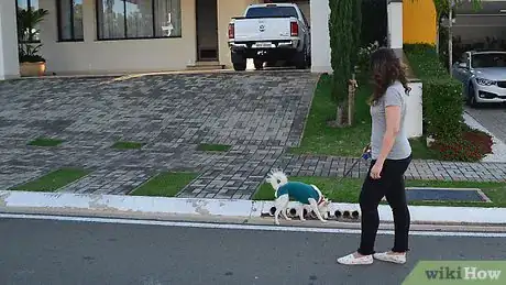 Imagen titulada Stop Puppy Biting Step 9
