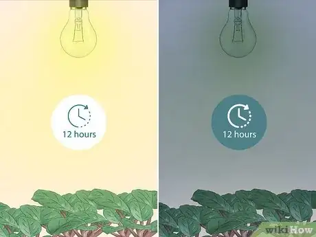Imagen titulada Grow Plants With Grow Lights Step 5