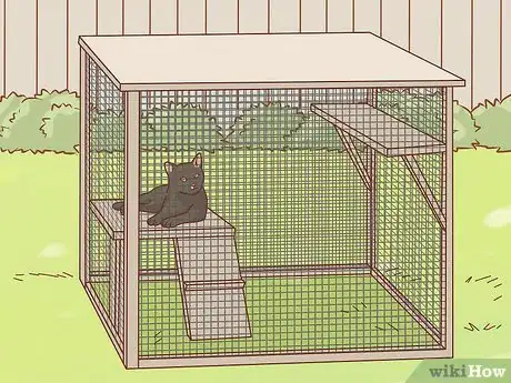 Imagen titulada Keep a Bird and a Cat in the Same House Step 9