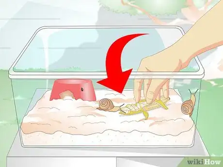 Imagen titulada Build a Snail House Step 11