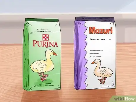 Imagen titulada Care for a Pet Duck Step 1