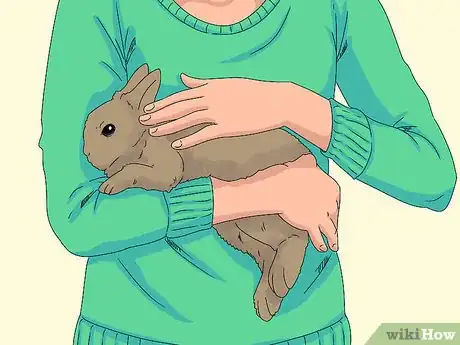Imagen titulada Pick up a Rabbit Step 9