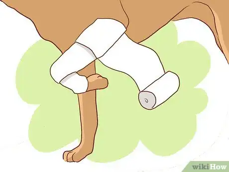 Imagen titulada Wrap a Dog’s Shoulder Step 16