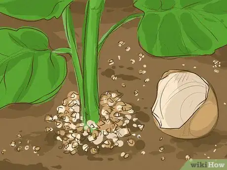Imagen titulada Make Fertilizer Step 12