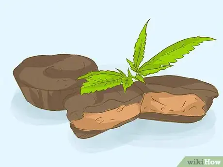 Imagen titulada Get Rid of Weed Smell Step 16