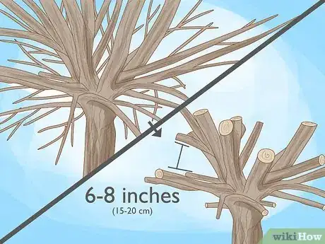 Imagen titulada Prune a Mulberry Tree Step 8