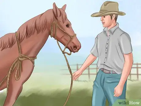 Imagen titulada Get Your Horse to Trust and Respect You Step 17