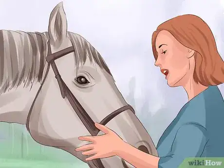 Imagen titulada Tame a Horse or Pony Step 2