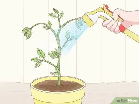 Imagen titulada Get Rid of Red Spider Mites Organically Step 7