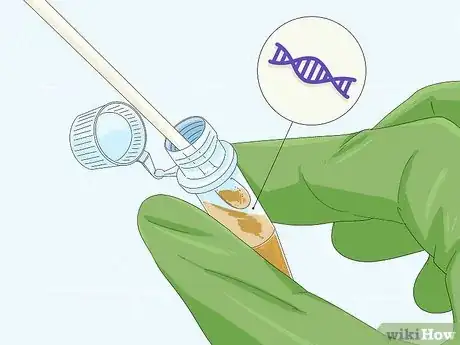 Imagen titulada Determine Genotype Step 6