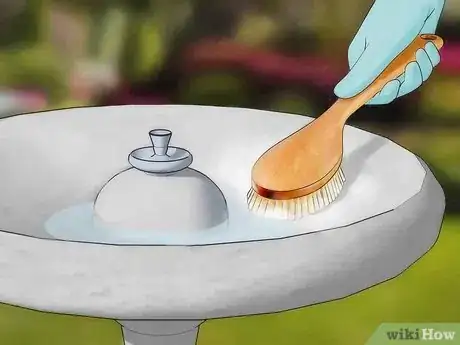 Imagen titulada Prevent Mosquitoes from Breeding Step 3