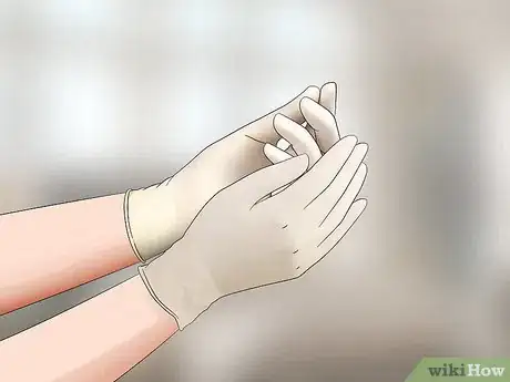 Imagen titulada Check for Bedbugs Step 1