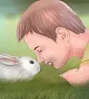 agradarle a tu conejo