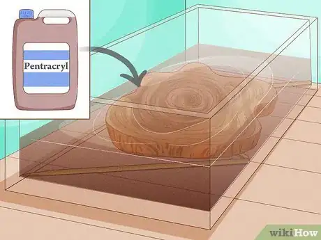 Imagen titulada Preserve Bark Step 3