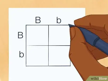 Imagen titulada Determine Genotype Step 3