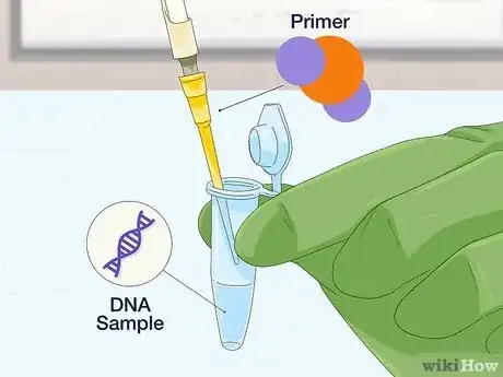 Imagen titulada Determine Genotype Step 7