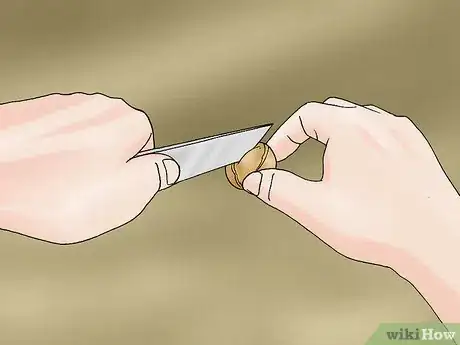 Imagen titulada Propagate Daffodils Step 5