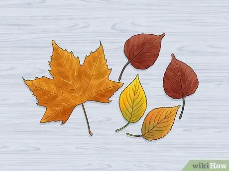 Imagen titulada Preserve Fall Leaves Step 23