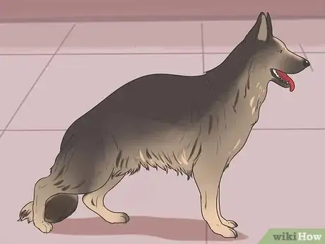 Imagen titulada Tell if a Dog Is in Pain Step 3