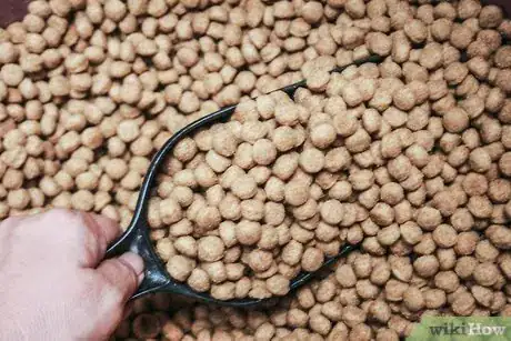 Imagen titulada Make Homemade Bird Food Step 9
