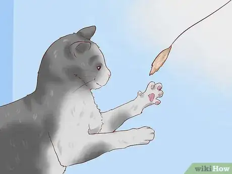 Imagen titulada Discipline Cats Step 10