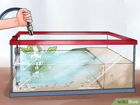 Imagen titulada Make a Turtle Environment Step 9