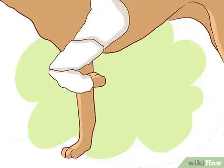 Imagen titulada Wrap a Dog’s Shoulder Step 15