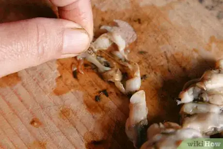 Imagen titulada Clean a Razor Clam Step 15
