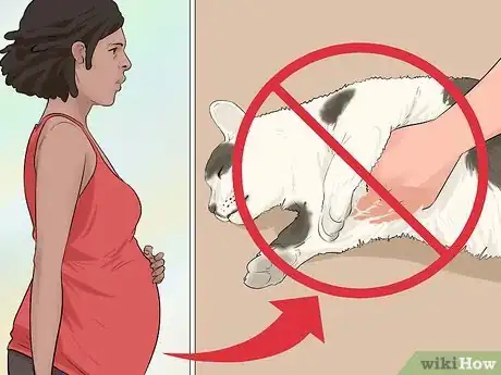 Imagen titulada Kill Toxoplasma Gondii Step 14