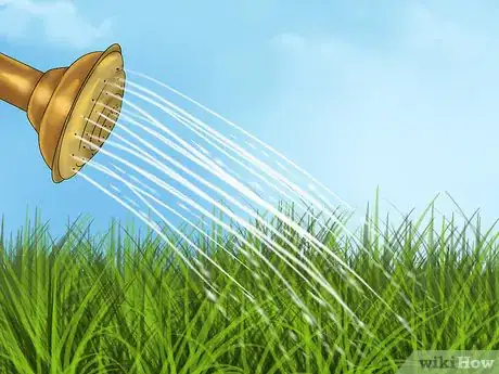 Imagen titulada Get and Maintain a Healthy Lawn Step 6
