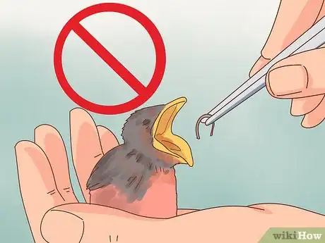 Imagen titulada Identify Baby Birds Step 12