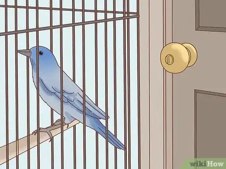 Imagen titulada Keep a Bird and a Cat in the Same House Step 7