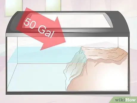 Imagen titulada Keep a Turtle Healthy Step 1