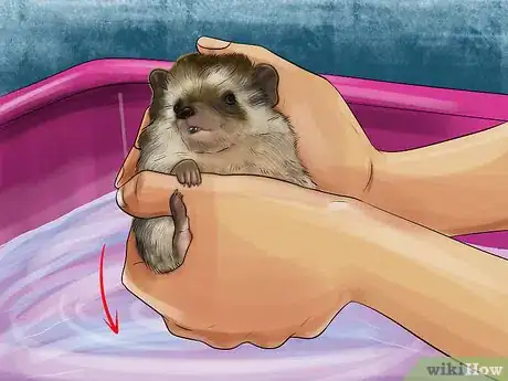 Imagen titulada Bathe a Hedgehog Step 6