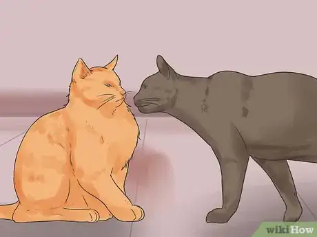 Imagen titulada Bring a Second Cat Into the Family and Not Make Your Old Cat Upset Step 10