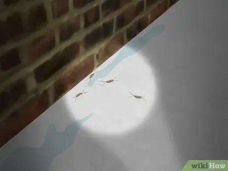 Imagen titulada Get Rid of Silverfish Step 1