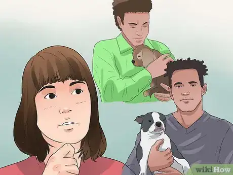 Imagen titulada Choose a Yorkie Puppy Step 1