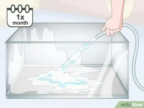 Imagen titulada Care for an Eastern Box Turtle Step 18