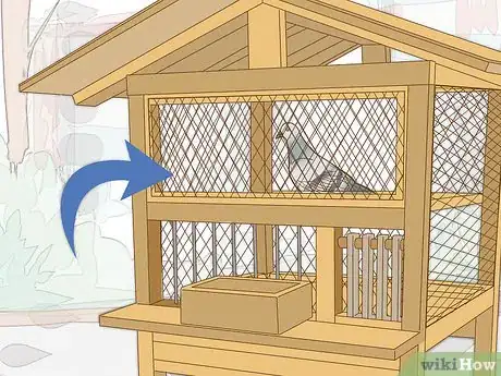 Imagen titulada Train a Homing Pigeon Step 4