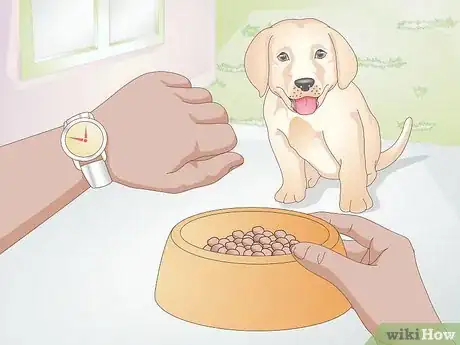 Imagen titulada Feed a Dog Step 9