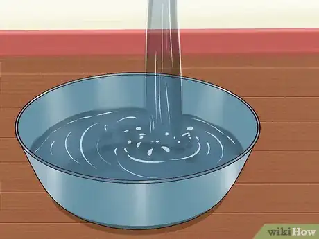 Imagen titulada Ease Your Dog's Stomach Problems Step 9
