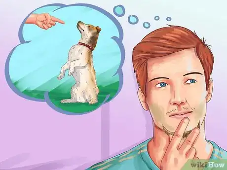 Imagen titulada Care for a Jack Russell Step 9