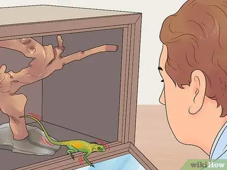 Imagen titulada Build a Reptile Cage Step 12