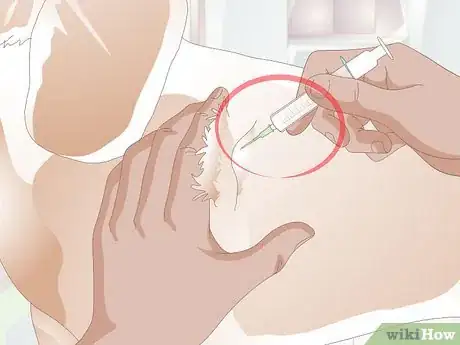Imagen titulada Treat Benign Fatty Skin Tumors on Dogs Step 3