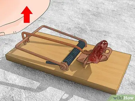 Imagen titulada Kill Woodrats Step 5
