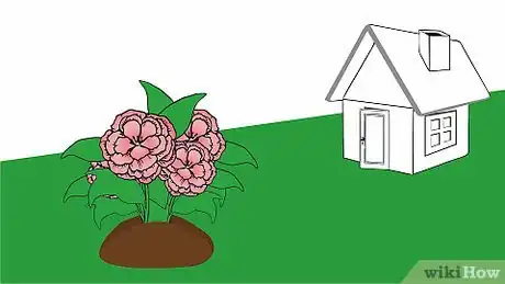 Imagen titulada Care for a Begonia Step 14