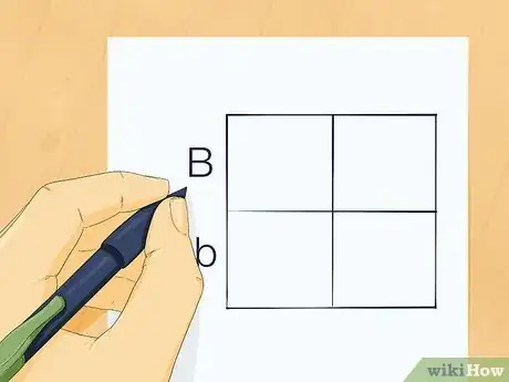 Imagen titulada Determine Genotype Step 2