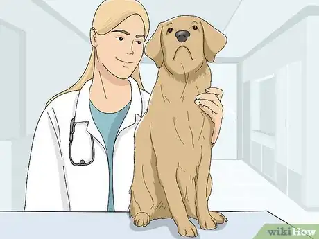 Imagen titulada Eliminate Fleas from Your Home for Free Step 15