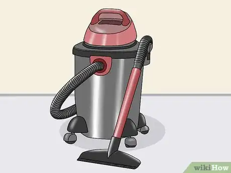 Imagen titulada Eliminate Fleas from Your Home for Free Step 5